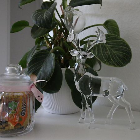 Apartament Haus Anna-Marie Feldberg  Zewnętrze zdjęcie