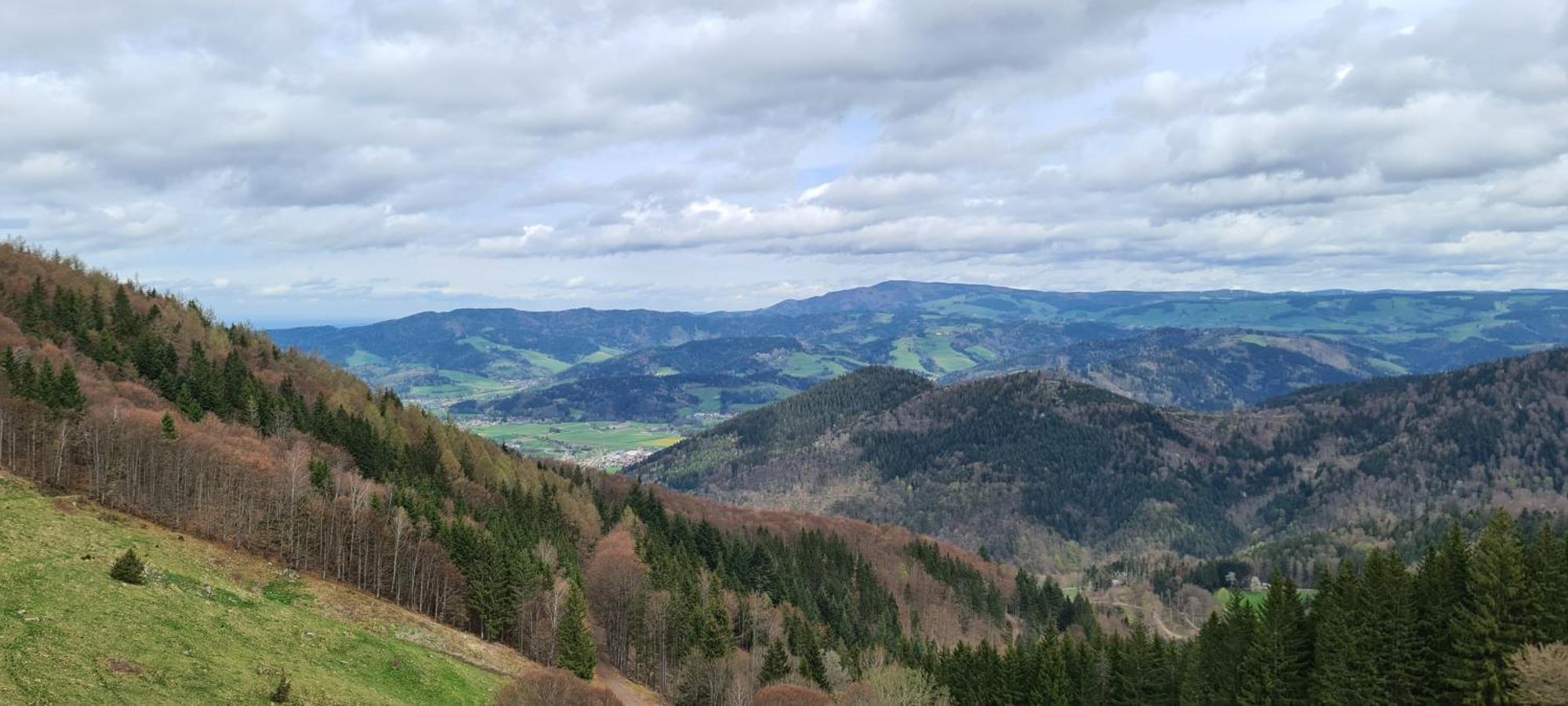 Apartament Haus Anna-Marie Feldberg  Zewnętrze zdjęcie