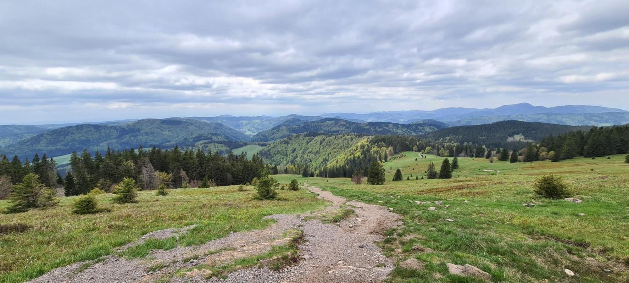 Apartament Haus Anna-Marie Feldberg  Zewnętrze zdjęcie